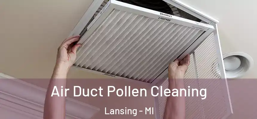  Air Duct Pollen Cleaning Lansing - MI