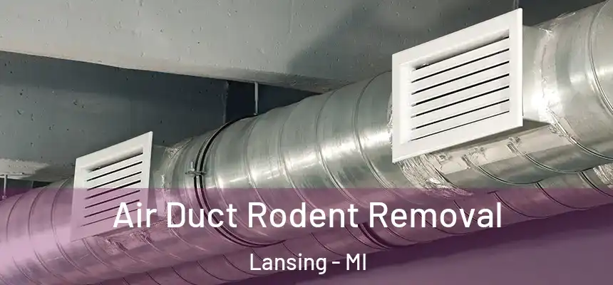  Air Duct Rodent Removal Lansing - MI