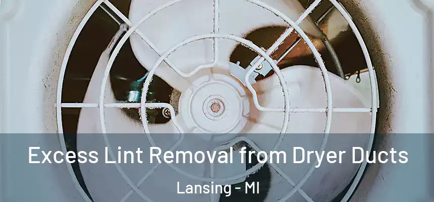  Excess Lint Removal from Dryer Ducts Lansing - MI