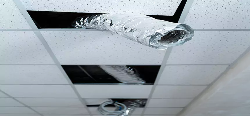 Affordable HVAC Sanitizing After Pest Removal in Lansing