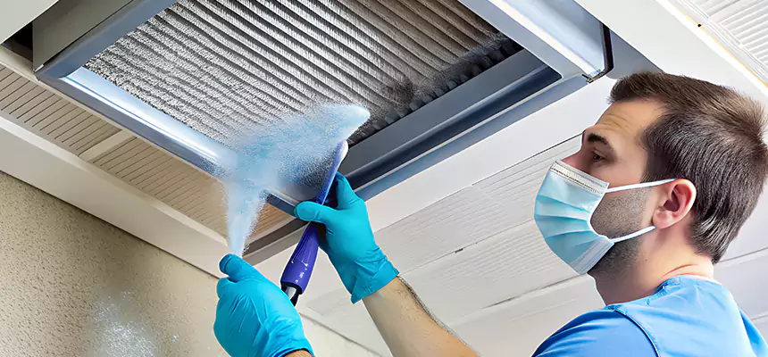 Proactive Dryer Vent & Auxiliary Duct Pollen Cleanup in Lansing, MI