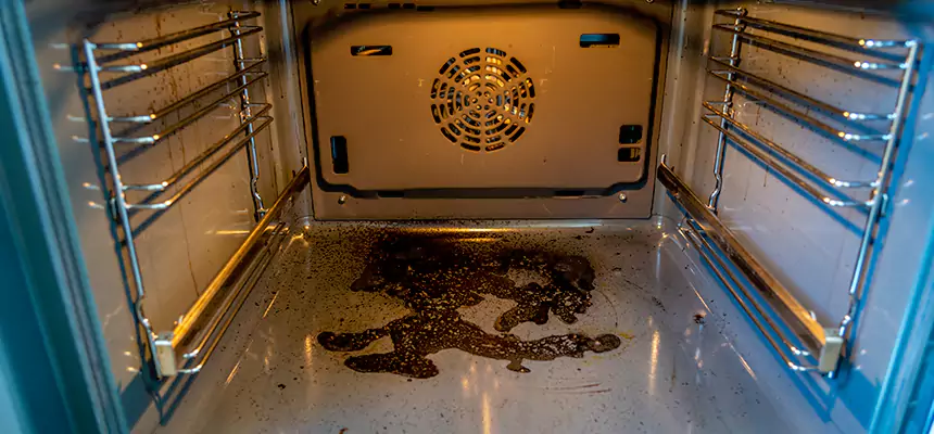 Our Dryer Vent Mold Cleaning Services in Lansing, MI