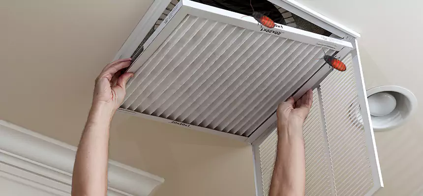Our Insect Removal from Air Ducts Services in Lansing, MI