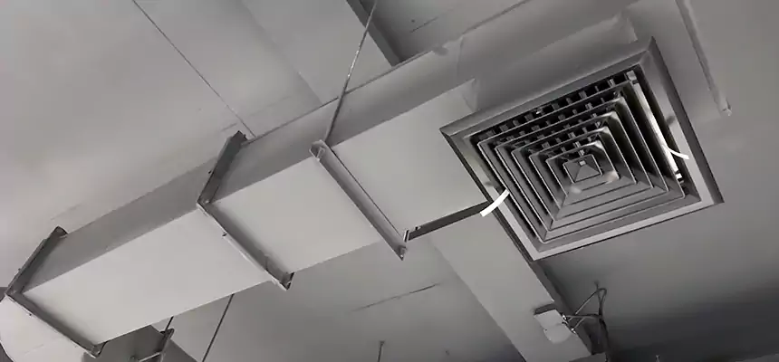 Our Pest Removal From Ducts Services in Lansing, MI