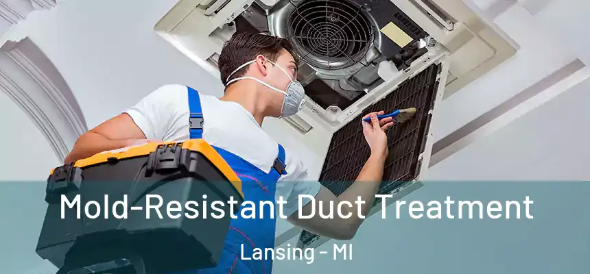  Mold-Resistant Duct Treatment Lansing - MI
