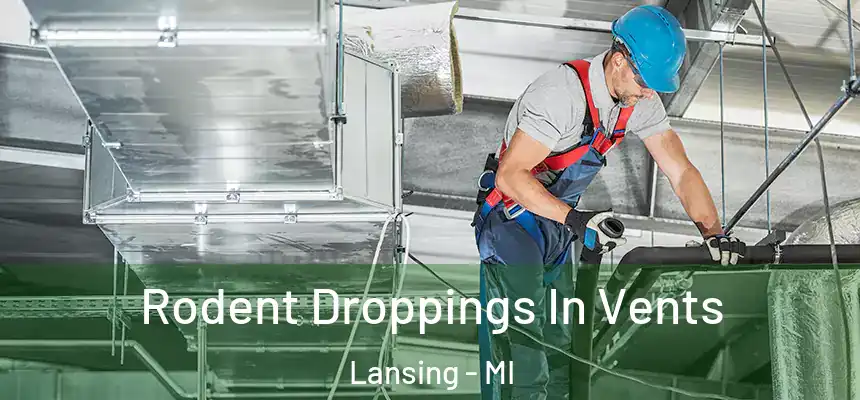 Rodent Droppings In Vents Lansing - MI