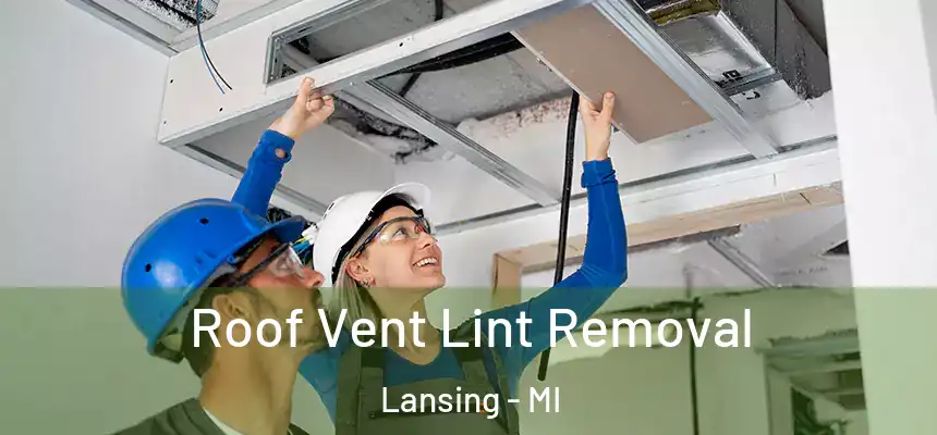  Roof Vent Lint Removal Lansing - MI