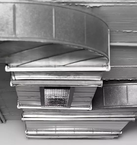 Professional Air Duct Pet Hair Removal in Lansing, MI