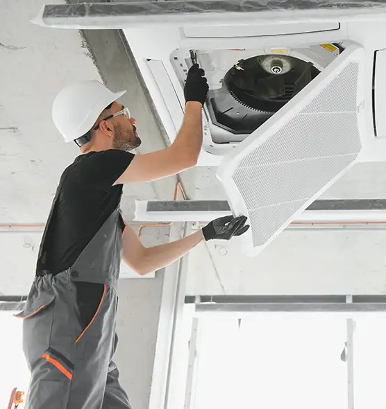 About Air Duct Rodent Removal in Lansing, MI