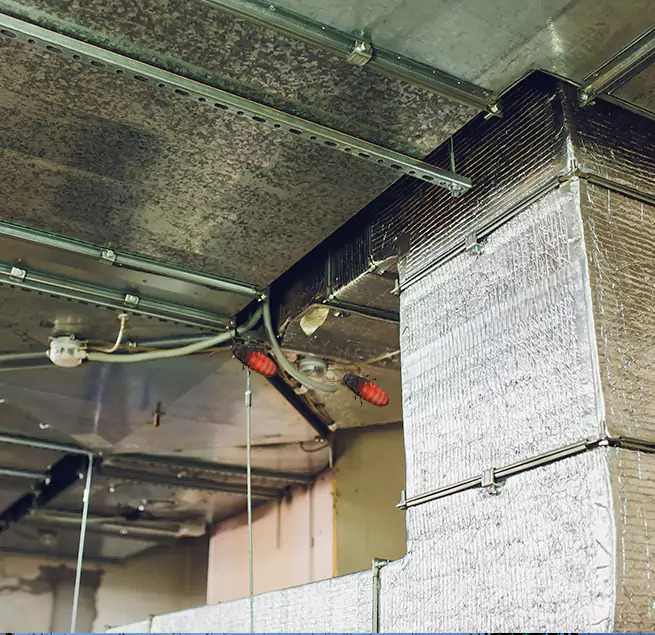 Why Homeowners & Businesses Trust Us in Lansing, MI?